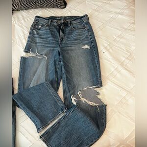 American eagle cropped